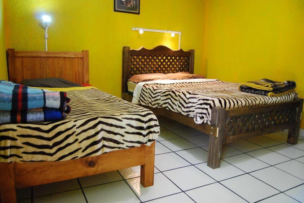 Iguana Hostel San Cristóbal de Las Casas Exterior foto