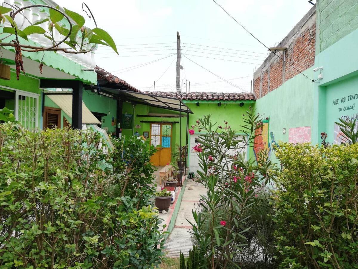 Iguana Hostel San Cristóbal de Las Casas Exterior foto